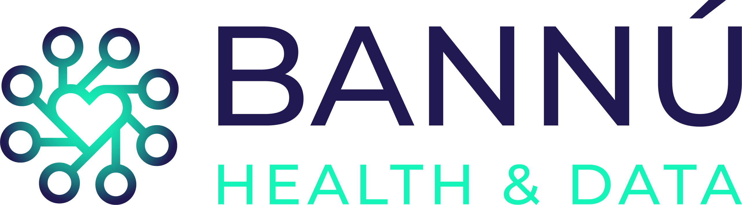 Logo Bannú Health & Data